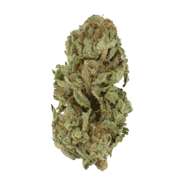 Golden Goat | Buy My Weed Online Canada