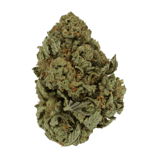 Master Kush Ultra | Buy My Weed Online Canada