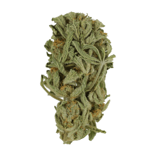 Master Kush Ultra | Buy My Weed Online Canada