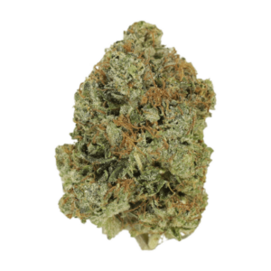 Jack Herer (popcorn) | Buy My Weed Online Canada