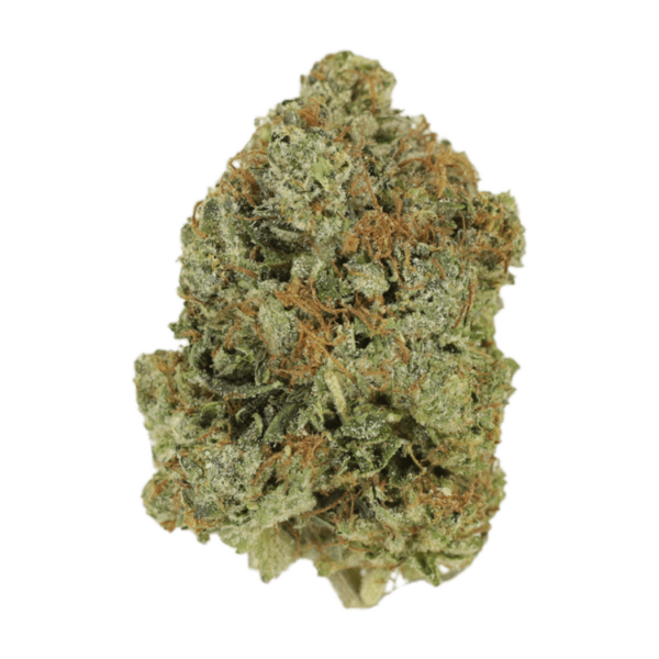 Jack Herer (popcorn) | Buy My Weed Online Canada