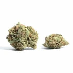 White Truffle (Popcorn) | Buy My Weed Online Canada