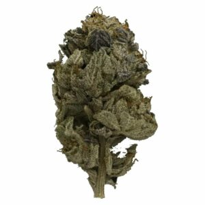 Buy My Weed Online Canada - Pink Gas Strain | Buy My Weed Online Canada