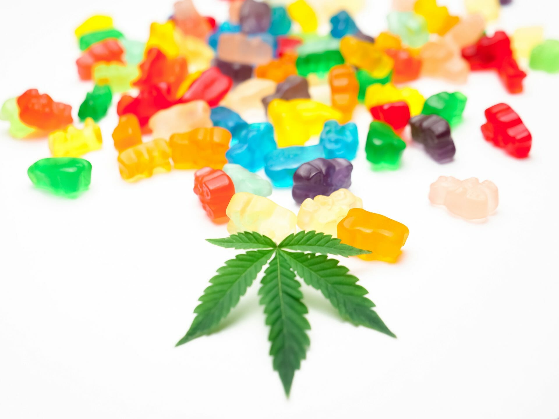 Weed Gummy | Buy My Weed Online Canada