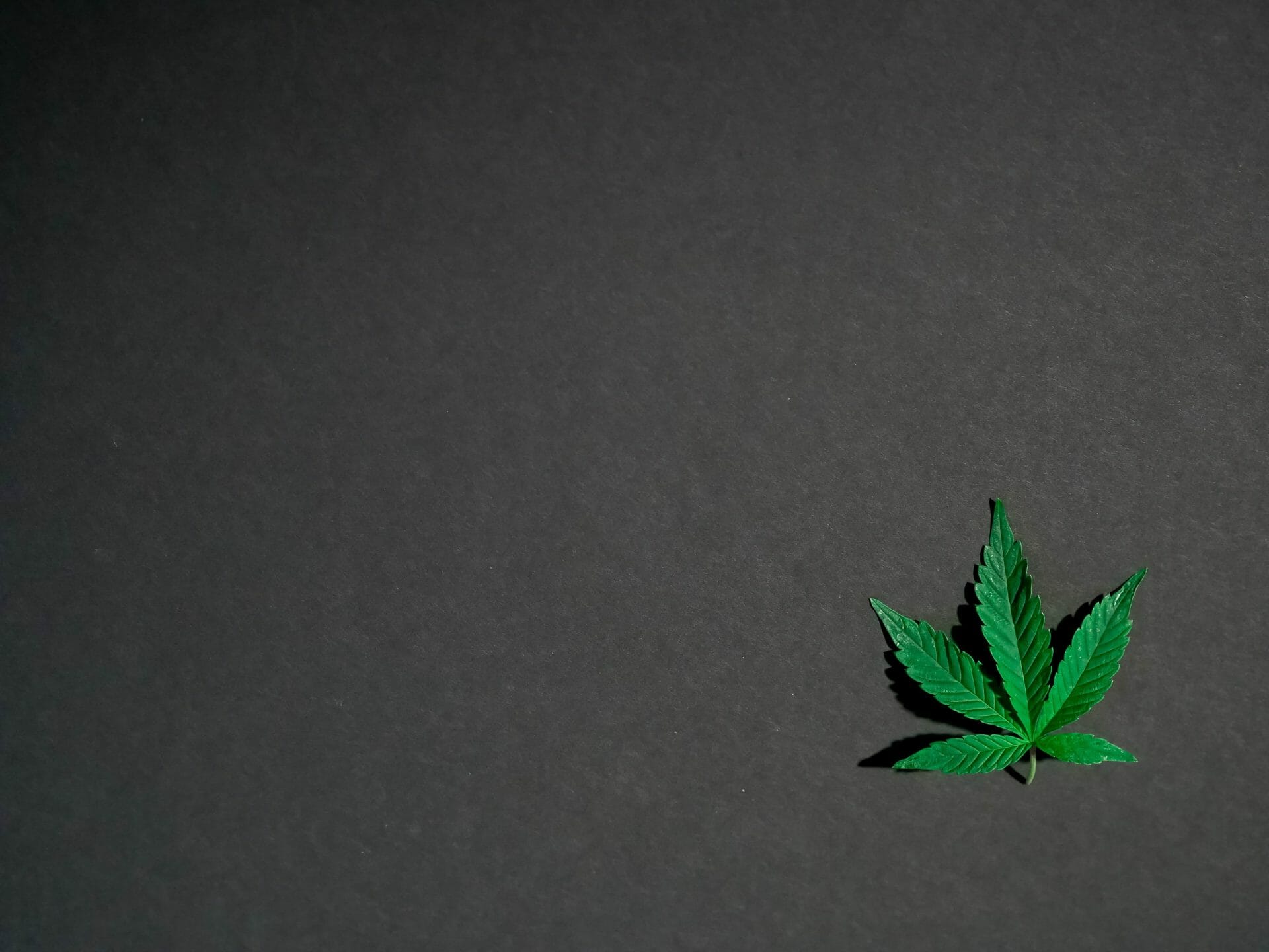| Buy My Weed Online Canada Hybrid Weed | Buy My Weed Online Canada