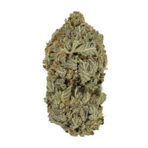 Purple Mimosa | Buy My Weed Online Canada