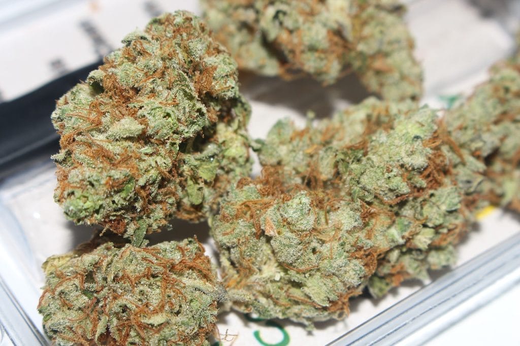 Hybrid cannabis Strains | Buy My Weed Online Canada