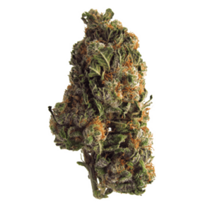 Grape Crush | Buy My Weed Online Canada