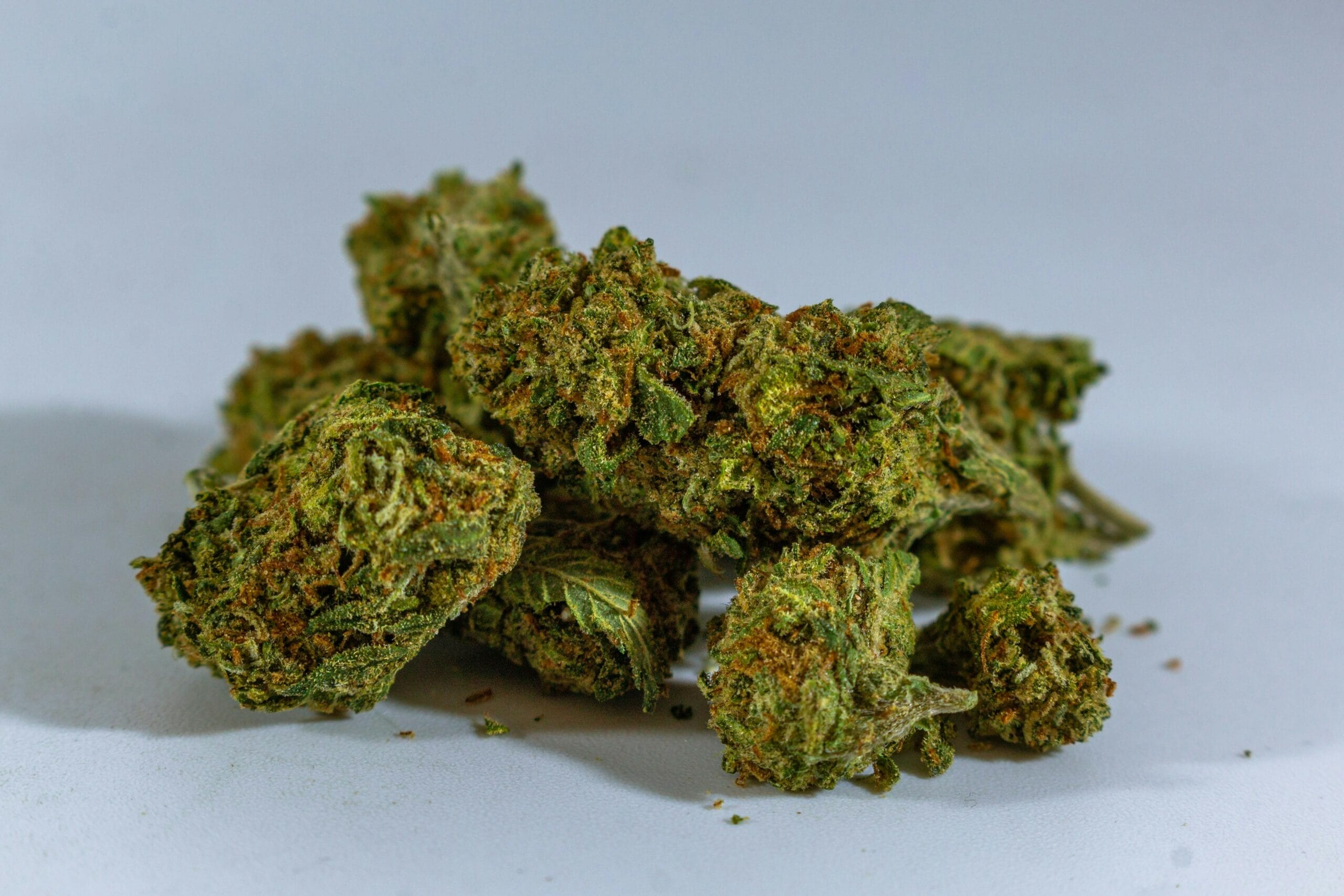 cheap-weed-online-canada | Buy My Weed Online Canada