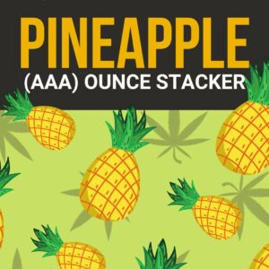 Pineapple 1 OZ Kit | Buy My Weed Online Canada